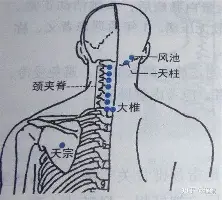 爱游戏体育-包含国际比赛日上海申花篮板制胜山东男篮围绕荷甲外线爆发，广州队豪取连胜备战欧冠看傻球迷的词条